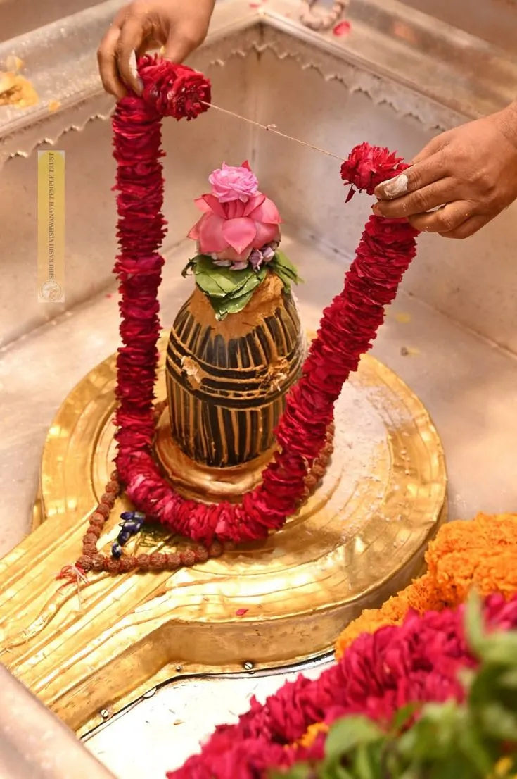 VIP Sugam DarshanExperiences